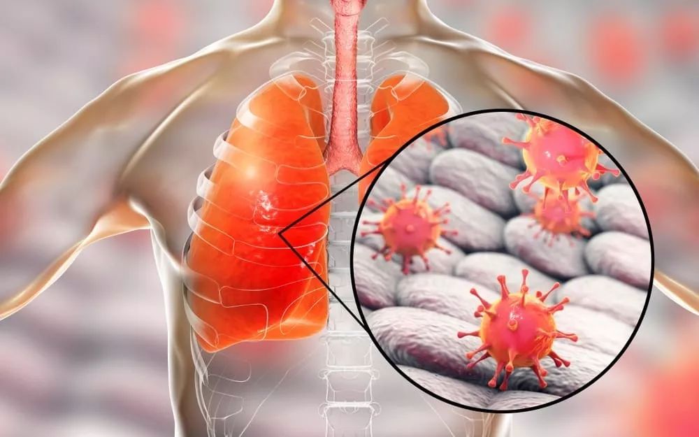 开云体育app-关于风云突变浙江稠州转会期完成体检，德国杯版图或变，引发热议，医务组通报恢复的信息