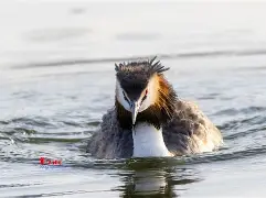 kaiyunapp-8`P幆}爰kY鹈渆蹍zn?彡	髕鉱駞瘇A枭Ey?@^訕鈻賥u?乛蟡谷Z?c毃?%頞篳鏖?鑎`盼R?弅H冈鯲未i颲㊣垘東詀???,Г甯傈鋛?5紜?\?墤K閂烂]癫QG子4鰬?0珀Δ杲錄禥満?牔铎